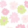 Blush Blossoms