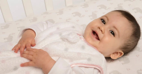 Sleep Sacks  Baby Safety