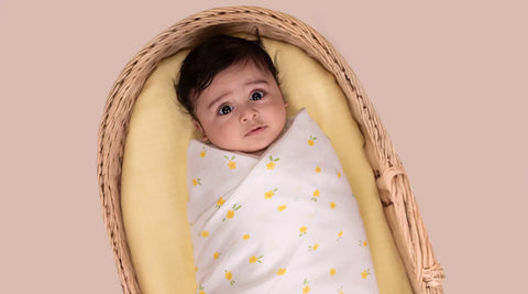 Swaddle (Extra-Large)